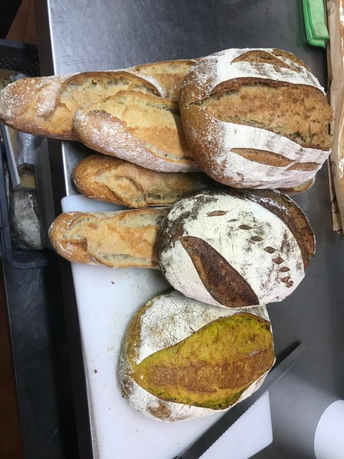 Pinos del Valle Casa Limon Bed & Breakfast エクステリア 写真