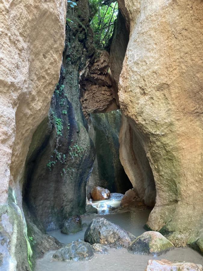 Pinos del Valle Casa Limon Bed & Breakfast エクステリア 写真