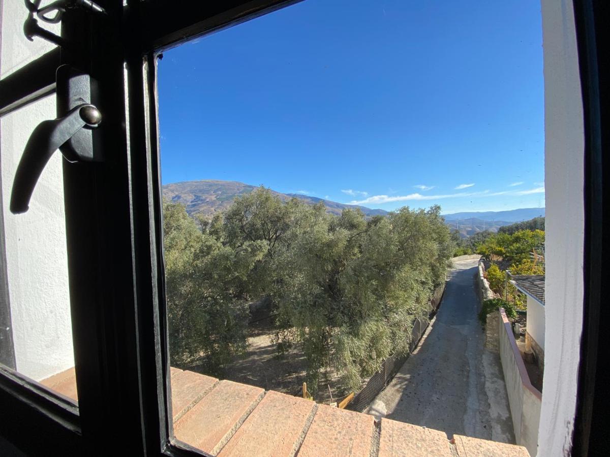 Pinos del Valle Casa Limon Bed & Breakfast エクステリア 写真