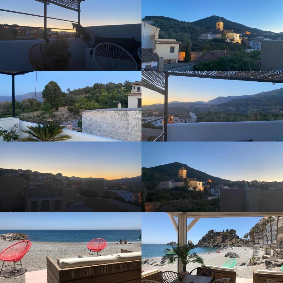Pinos del Valle Casa Limon Bed & Breakfast エクステリア 写真