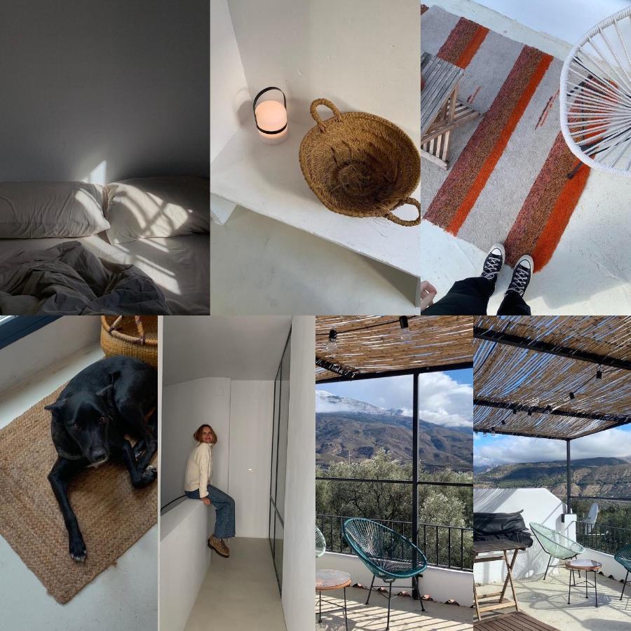 Pinos del Valle Casa Limon Bed & Breakfast エクステリア 写真